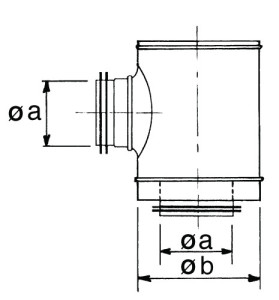 Safe_Te souche_SHGIU_schema.jpg